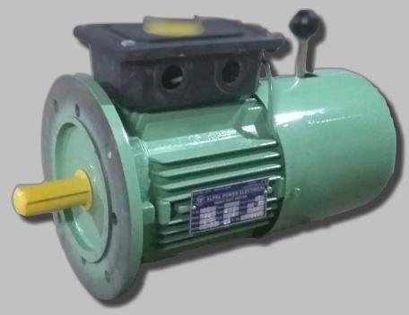 Flange Mounted Brake Motor