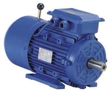 Crane Duty Brake Motor
