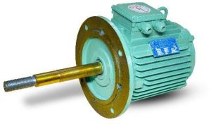 Cooling Tower Motor