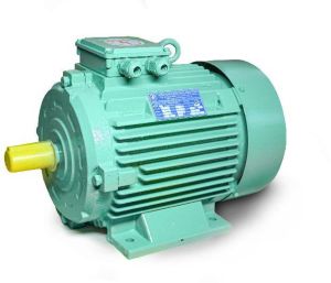 Foot Mounted Three Phase AC Induction Motor