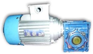 Worm Geared Motor
