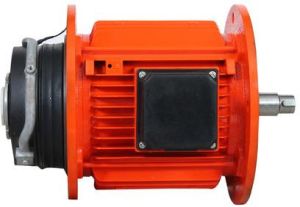 Double Sided Flange Motor
