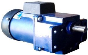 Worm Reduction Gear Motor