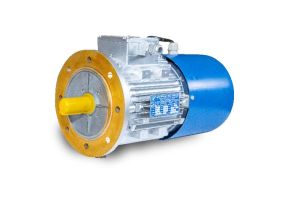 Flange Mounted Brake Motor