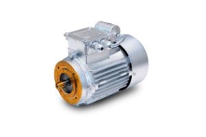 Face Mounted Motor