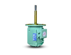 Long Shaft Electric Motor